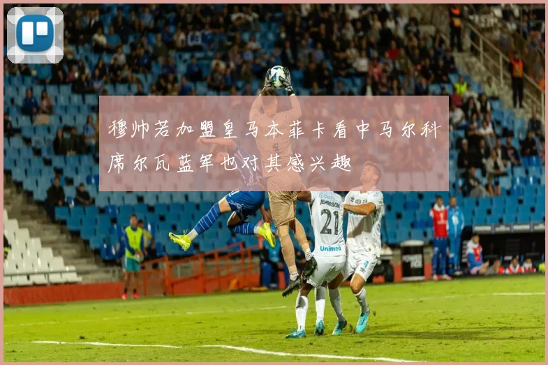 穆帅若加盟皇马本菲卡看中马尔科席尔瓦蓝军也对其感兴趣