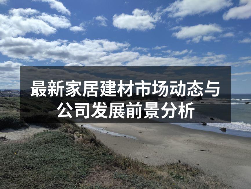 家居建材行业市场现状图